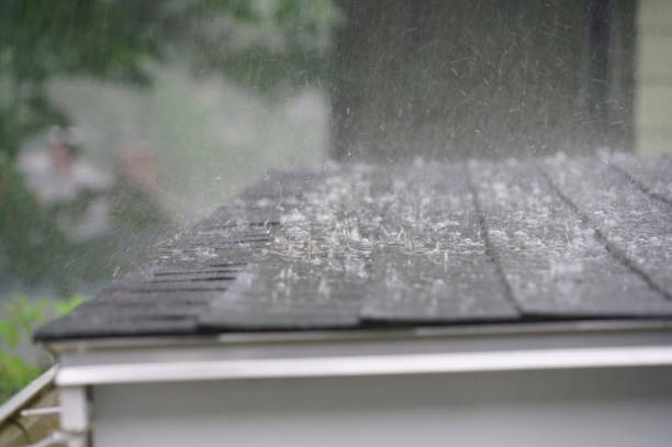 Fast & Reliable Emergency Roof Repairs in Morristown, TN