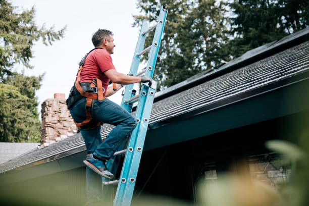 Best Roof Maintenance and Cleaning  in Morristown, TN